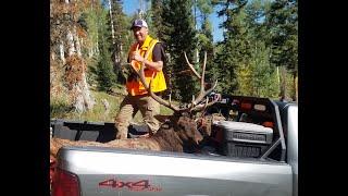 Big Bull Elk loading the Easy way