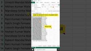 How To Separate Data Columns wise  text to columns #shorts #excel #msexcel #exceltutorial #viral