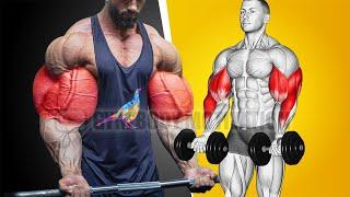 Most Effective Biceps and Triceps Workout at Gym