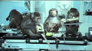 Basement Jaxx - Wheres Your Head At Official Video