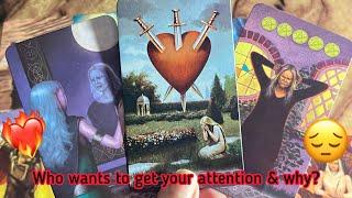 Who wants to get your attention & why? Hindi tarot card reading  Love tarot