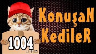 Komik Kedi Videoları - Konuşan Kediler 1004  - Yeni Bölüm