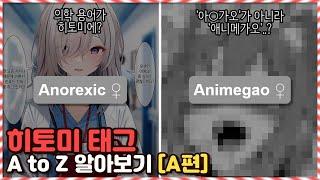 히토미 태그 A부터 Z까지 알아보기 A편