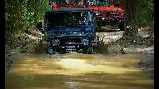 Romp in the Swamp - a Jeep 4x4 offroading trail ride in Central Florida