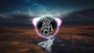 Pitbull feat. Sean Paul & Lil Jon - Culo Remix Birdsea