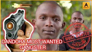 THE MOST WANTED GANGSTER IN DANDORA THE UNTOLD STORY OF MOHA FROM DANDORA