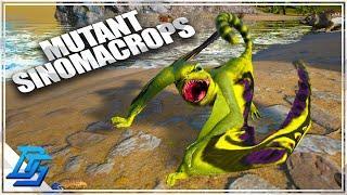 BREEDING FOR SINOMACROPS MUTANTION ARMY BUILT - Ark Survival Evolved Gameplay 2022 - Part 24