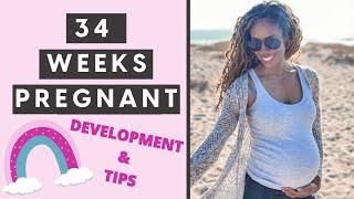 34TH WEEK OF PREGNANCY  Update What To Expect And Pregnancy Tips For The Third Trimester