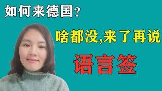 德国语言签没有大学毕业没有职业资格技术移民德国难吗?Q22