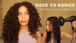 HOW TO DIFFUSE CURLY HAIRWHAT TO BUY  Back to Basics