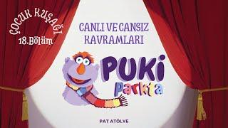 Puki Parkta - 18. Bölüm - Canlı ve Cansız Kavramları         #pukiparkta #puki #çocukkuşağı #kukla