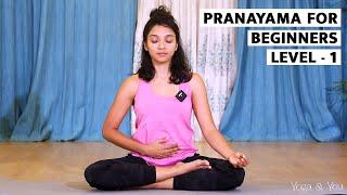 How to do Pranayama  Pranayama Techniques  Pranayama To Increase Immunity 