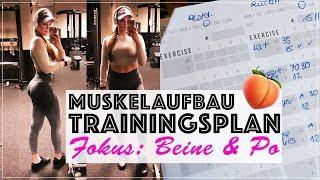 #BootyBuilding  TRAINING FÜR MUSKELAUFBAU FOKUS BEINE & PO   MrsSuperSophia