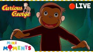 LIVE    Curious Georges Halloween  Non-Stop Curious George  Mini Moments
