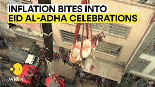 Eid al-Adha 2023 Cattle in Pakistans Karachi are hoisted by a crane from a buildings roof  WION