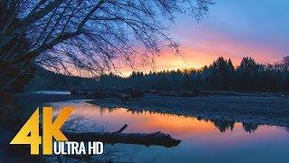 Sunrise at Hoh River - 4K Nature Relax Video - 1 HR for Relaxation Destress and Restoration