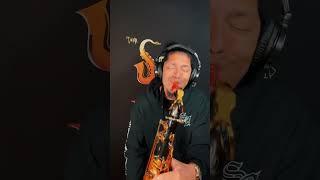 Saxl Rose - Max Ayres “Cuts Heal In Time” Sax Solo