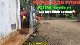 vidio lucu PRANK ULAR PITON Paling Berdosa  asli lucu bikin ngakak auto melorot