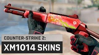 All XM1014 Skins - Counter-Strike 2