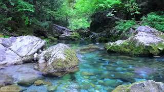 3 HOURS Sound of Blue River - Clear waterSong of birds flowersfocussleep healingmeditation