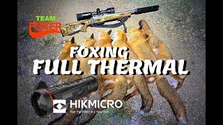 6 Foxes off one stand full thermal foxing