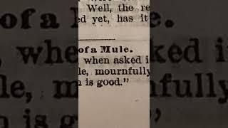 1886 FUNNY DAD JOKES   #lifeinthe1800snewspapers #1800s #funnyshorts  #ushistory #funnyvideo