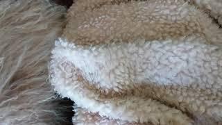 Mongolian lamb fur vs Mongolian lamb fur sold on ebay