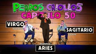 PERROS CRIOLLOS - VIRGO ARIES Y SAGITARIO CAP. 50
