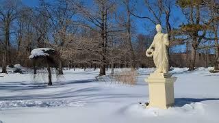 Walking the Public Gardens after a Snow Storm