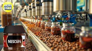 Inside NESCAFE Super Factory Coffee Production and Bean Harvesting