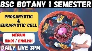 BSC 1 SEMESTER BOTANY PROKARYOTIC & EUKARYOTIC CELL प्रोकैरियोटिक एवं यूकेरियोटिक कोशिका  AMIT