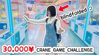 30000 YEN CRANE GAME CHALLENGE in Japan