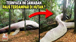 Kalian Gak Percaya ini. 10 Penemuan Hewan Menggemparkan Ilmuan