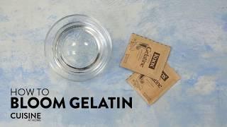 How to Bloom Gelatin  Cuisine at Home