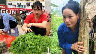 18 year old single mother Harvesting vegetables - Hungs mother suddenly appeared  Ly Tieu An