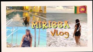 Whale watching in Mirissa   Sri Lanka Travel Vlogs