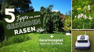 Rasenpflege Tipps & Rasenmähroboter GOAT G1 in unserem Garten