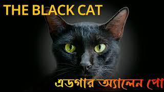 The Black Cat by Edgar Allan Poe  কালো বেড়াল  Bengali Audio Story   Suspense Thriller