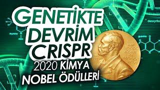 2020 Kimya Nobel Ödülü Genetikte Bir Devrim CRISPR Teknolojisi Enis Doko