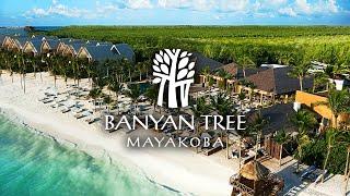 Banyan Tree At Mayakoba Riviera Maya  An In Depth Look Inside