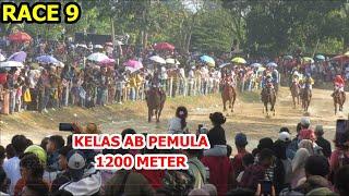 RACE 9  KELAS AB PEMULA - PACU KUDA PAYAKUMBUH 2024