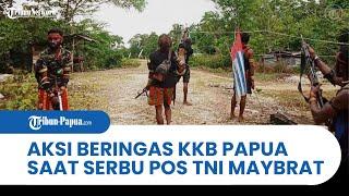 SEMAKIN BERINGAS KKB Papua Serbu Pos TNI Maybrat