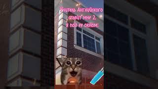 Учительница английского ставит мне 2я под еë окном