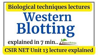 Western blotting technique animation  Western blotting principle procedure explained