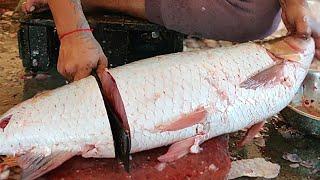 Amazing Cutting Skills  Giant Carp Fish Cleaning & Cutting By Expert Fish Cutter
