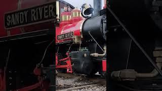 Randy Siver #train #railway #miniaturerailway #steamlocomotive #steamtrain #steam #youtubeshorts