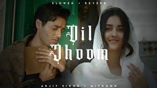 Dil Jhoom - Arijit Singh  Mithoon  Gadar 2  Lofi Editz  Slowed + Reverb
