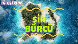 ŞİR BÜRCÜ. Həftəlik bürc proqnozu 10-16 İYUN #aslanburcu