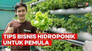 TIPS SUKSES BUDIDAYA HIDROPONIK UNTUK PEMULA