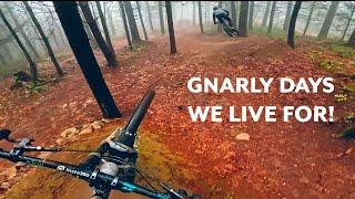 The GNARLIEST Downhill & Freeride Runs Around Insta360 Ace Pro